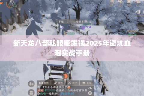 新天龙八部私服哪家强2025年避坑血泪实战手册 新天龙八部私服哪家强2025年避坑血泪实战手册
