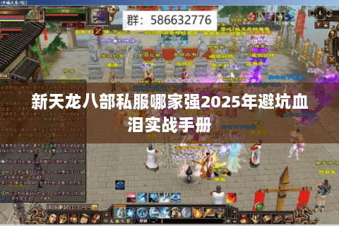 新天龙八部私服哪家强2025年避坑血泪实战手册 新天龙八部私服哪家强2025年避坑血泪实战手册