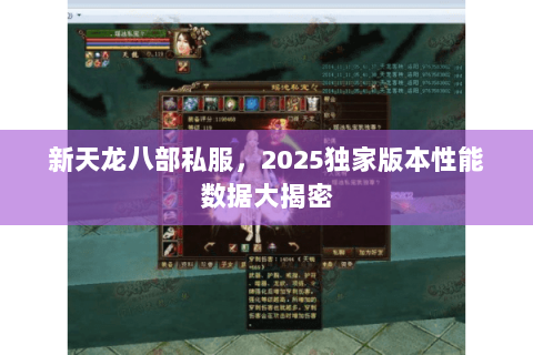 新天龙八部私服,2025独家版本性能数据大揭密 新天龙八部私服,2025独家版本性能数据大揭密