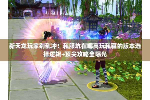 新天龙玩家别乱冲!私服坑在哪高玩私藏的版本选择逻辑+顶尖攻略全曝光 新天龙玩家别乱冲!私服坑在哪高玩私藏的版本选择逻辑+顶尖攻略全曝光