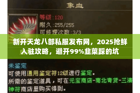 新开天龙八部私服发布网,2025抢鲜入驻攻略,避开99%韭菜踩的坑 新开天龙八部私服发布网,2025抢鲜入驻攻略,避开99%韭菜踩的坑