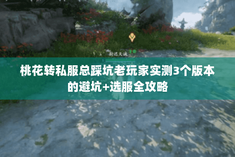 桃花转私服总踩坑老玩家实测3个版本的避坑+选服全攻略 桃花转私服总踩坑老玩家实测3个版本的避坑+选服全攻略