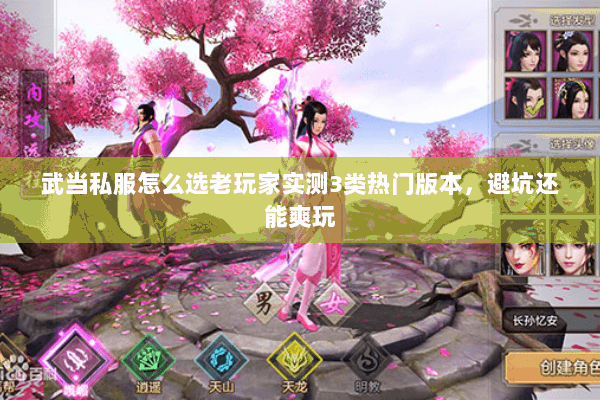 武当私服怎么选老玩家实测3类热门版本,避坑还能爽玩 武当私服怎么选老玩家实测3类热门版本,避坑还能爽玩