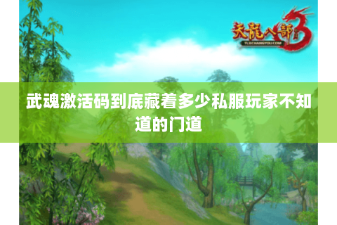 武魂激活码到底藏着多少私服玩家不知道的门道