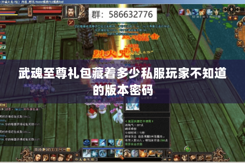 武魂至尊礼包藏着多少私服玩家不知道的版本密码