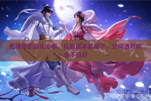 武魂转职避坑必看,私服版本差异下,如何选对职业不白肝 武魂转职避坑必看,私服版本差异下,如何选对职业不白肝