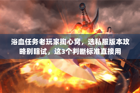 浴血任务老玩家掏心窝，选私服版本攻略别瞎试，这3个判断标准直接用