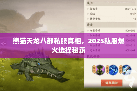 熊猫天龙八部私服真相,2025私服爆火选择秘籍 熊猫天龙八部私服真相,2025私服爆火选择秘籍