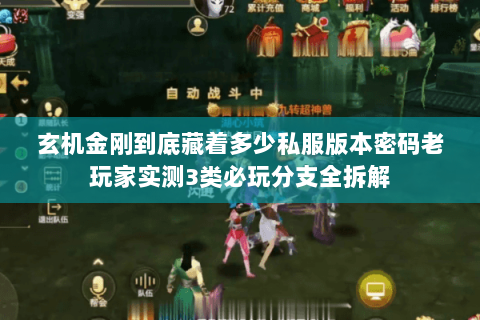 玄机金刚到底藏着多少私服版本密码老玩家实测3类必玩分支全拆解 玄机金刚到底藏着多少私服版本密码老玩家实测3类必玩分支全拆解
