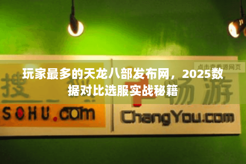 玩家最多的天龙八部发布网，2025数据对比选服实战秘籍