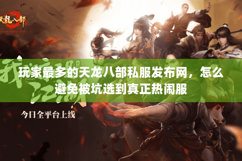 玩家最多的天龙八部私服发布网,怎么避免被坑选到真正热闹服 玩家最多的天龙八部私服发布网,怎么避免被坑选到真正热闹服