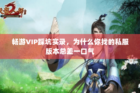 畅游VIP踩坑实录,为什么你找的私服版本总差一口气 畅游VIP踩坑实录,为什么你找的私服版本总差一口气