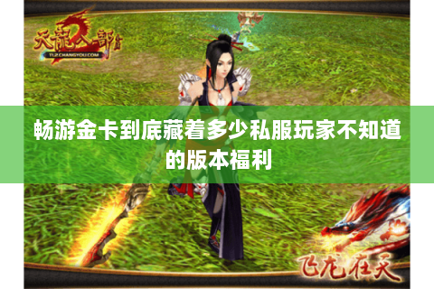 畅游金卡到底藏着多少私服玩家不知道的版本福利 畅游金卡到底藏着多少私服玩家不知道的版本福利