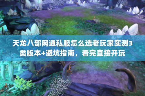 天龙八部网通私服怎么选老玩家实测3类版本+避坑指南,看完直接开玩 天龙八部网通私服怎么选老玩家实测3类版本+避坑指南,看完直接开玩