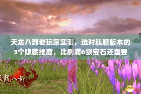 天龙八部老玩家实测,选对私服版本的3个隐藏维度,比刷满6级宝石还重要 天龙八部老玩家实测,选对私服版本的3个隐藏维度,比刷满6级宝石还重要
