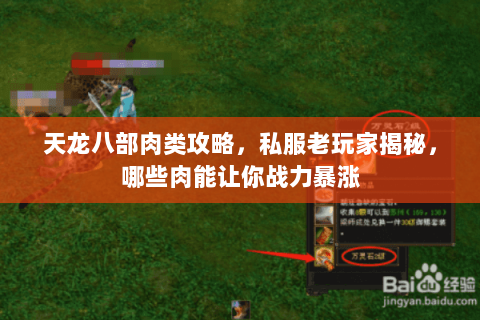 天龙八部肉类攻略,私服老玩家揭秘,哪些肉能让你战力暴涨 天龙八部肉类攻略,私服老玩家揭秘,哪些肉能让你战力暴涨