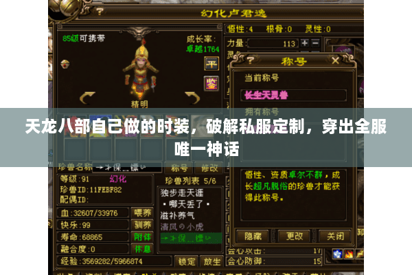 天龙八部自己做的时装,破解私服定制,穿出全服唯一神话 天龙八部自己做的时装,破解私服定制,穿出全服唯一神话
