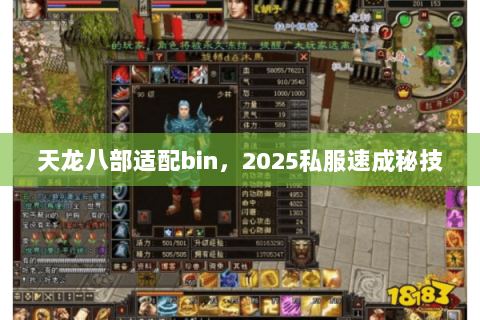 天龙八部适配bin,2025私服速成秘技 天龙八部适配bin,2025私服速成秘技