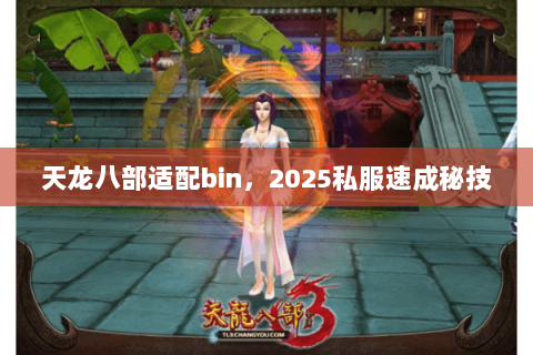 天龙八部适配bin,2025私服速成秘技 天龙八部适配bin,2025私服速成秘技