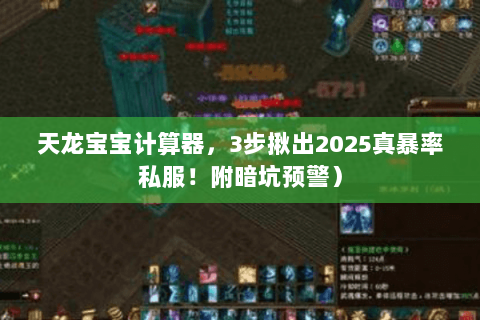 天龙宝宝计算器,3步揪出2025真暴率私服!附暗坑预警) 天龙宝宝计算器,3步揪出2025真暴率私服!附暗坑预警)