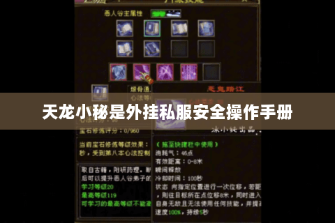 天龙小秘是外挂私服安全操作手册 天龙小秘是外挂私服安全操作手册