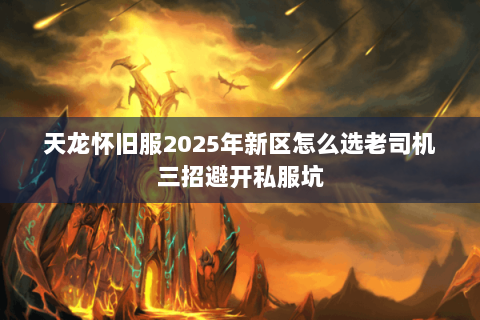 天龙怀旧服2025年新区怎么选老司机三招避开私服坑 天龙怀旧服2025年新区怎么选老司机三招避开私服坑