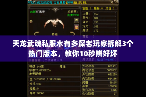 天龙武魂私服水有多深老玩家拆解3个热门版本,教你10秒辨好坏 天龙武魂私服水有多深老玩家拆解3个热门版本,教你10秒辨好坏