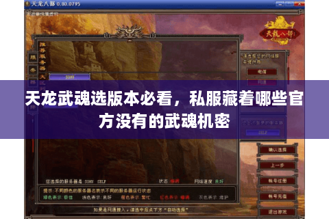 天龙武魂选版本必看,私服藏着哪些官方没有的武魂机密 天龙武魂选版本必看,私服藏着哪些官方没有的武魂机密