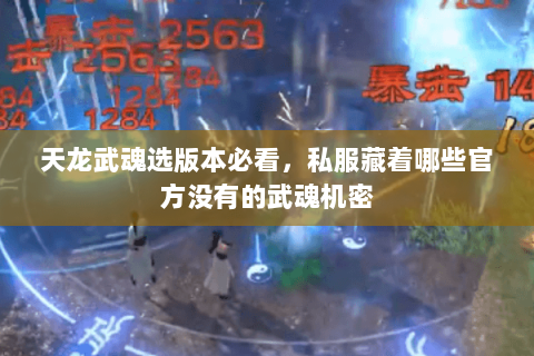 天龙武魂选版本必看,私服藏着哪些官方没有的武魂机密 天龙武魂选版本必看,私服藏着哪些官方没有的武魂机密