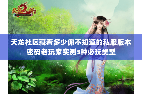 天龙社区藏着多少你不知道的私服版本密码老玩家实测3种必玩类型