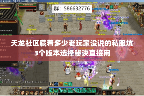 天龙社区藏着多少老玩家没说的私服坑3个版本选择秘诀直接用