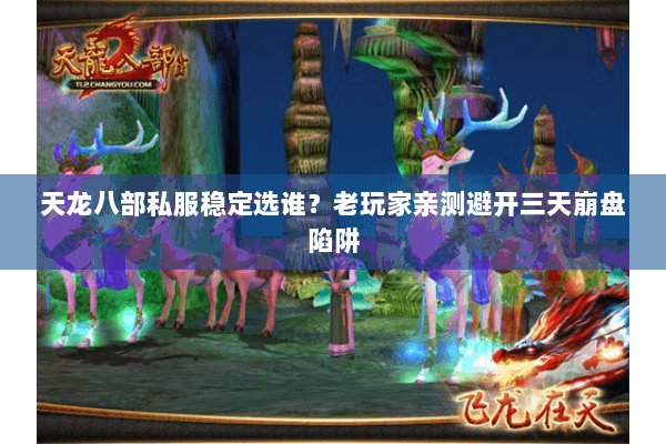 天龙八部私服稳定选谁?老玩家亲测避开三天崩盘陷阱 天龙八部私服稳定选谁?老玩家亲测避开三天崩盘陷阱