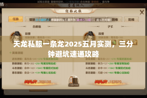天龙私服一条龙2025五月实测,三分钟避坑速通攻略 天龙私服一条龙2025五月实测,三分钟避坑速通攻略
