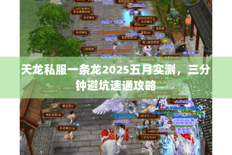 天龙私服一条龙2025五月实测,三分钟避坑速通攻略 天龙私服一条龙2025五月实测,三分钟避坑速通攻略