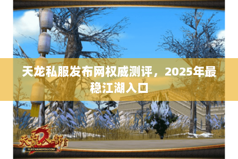 天龙私服发布网权威测评,2025年最稳江湖入口 天龙私服发布网权威测评,2025年最稳江湖入口
