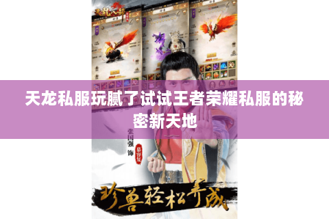 天龙私服玩腻了试试王者荣耀私服的秘密新天地 天龙私服玩腻了试试王者荣耀私服的秘密新天地