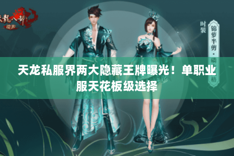 天龙私服界两大隐藏王牌曝光！单职业服天花板级选择