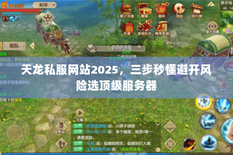 天龙私服网站2025,三步秒懂避开风险选顶级服务器 天龙私服网站2025,三步秒懂避开风险选顶级服务器