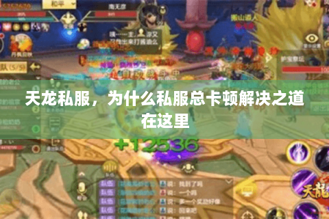 天龙私服,为什么私服总卡顿解决之道在这里 天龙私服,为什么私服总卡顿解决之道在这里