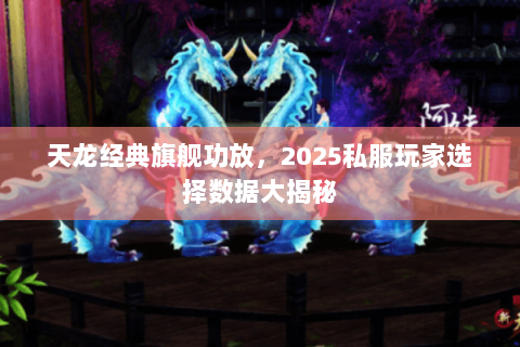 天龙经典旗舰功放,2025私服玩家选择数据大揭秘 天龙经典旗舰功放,2025私服玩家选择数据大揭秘