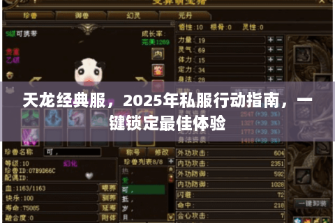 天龙经典服,2025年私服行动指南,一键锁定最佳体验 天龙经典服,2025年私服行动指南,一键锁定最佳体验