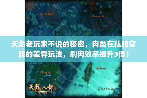 天龙老玩家不说的秘密，肉类在私服官服的差异玩法，刷肉效率提升3倍！