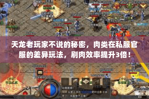 天龙老玩家不说的秘密，肉类在私服官服的差异玩法，刷肉效率提升3倍！