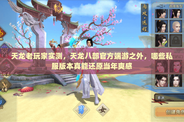 天龙老玩家实测,天龙八部官方端游之外,哪些私服版本真能还原当年爽感 天龙老玩家实测,天龙八部官方端游之外,哪些私服版本真能还原当年爽感
