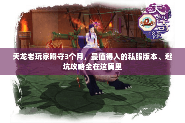 天龙老玩家蹲守3个月，最值得入的私服版本、避坑攻略全在这篇里