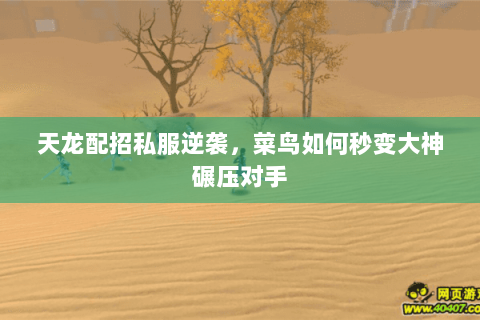 天龙配招私服逆袭,菜鸟如何秒变大神碾压对手 天龙配招私服逆袭,菜鸟如何秒变大神碾压对手