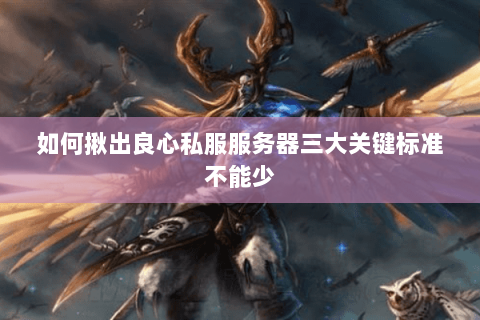 如何揪出良心私服服务器三大关键标准不能少 如何揪出良心私服服务器三大关键标准不能少