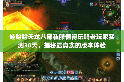 娃哈哈天龙八部私服值得玩吗老玩家实测30天，揭秘最真实的版本体验