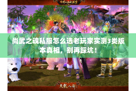 尚武之魂私服怎么选老玩家实测3类版本真相,别再踩坑! 尚武之魂私服怎么选老玩家实测3类版本真相,别再踩坑!