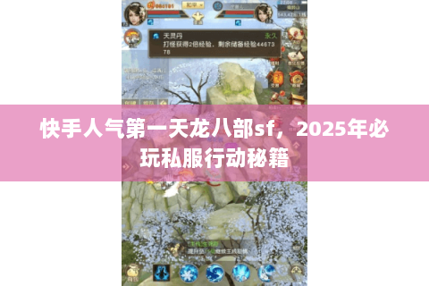 快手人气第一天龙八部sf,2025年必玩私服行动秘籍 快手人气第一天龙八部sf,2025年必玩私服行动秘籍